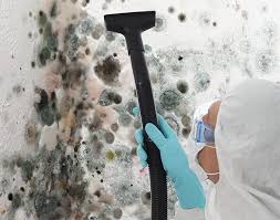 Best Forensic Mold Investigation  in Suamico, WI